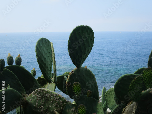 Cinque Terre Liguria Italia photo