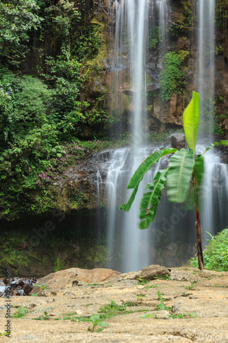 Dambri waterfall - in Lam Dong Vietnam photo