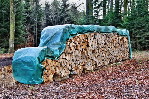 Tableau sur toile Fagots cerclés de bûches de bois couvert