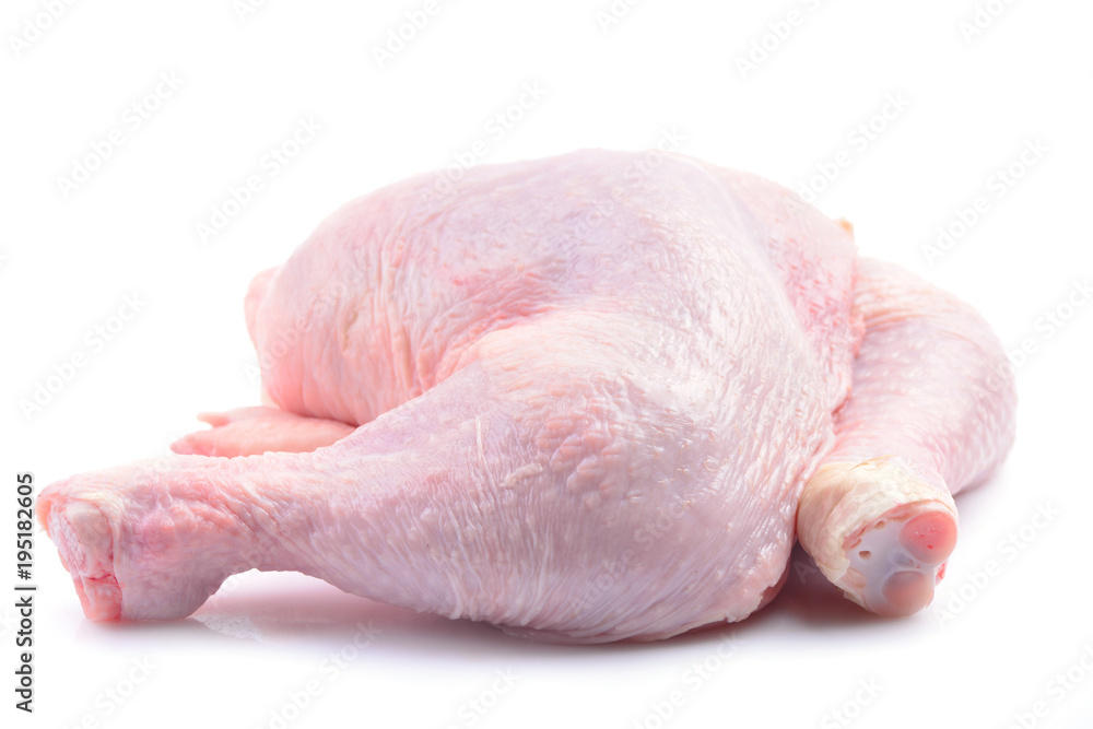 Chicken on a white background