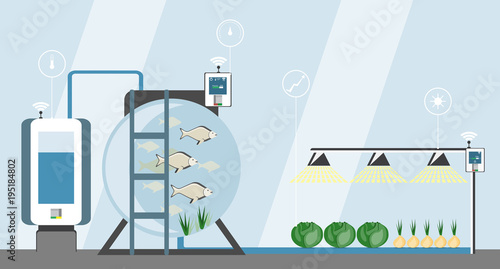 Growing plants in the greenhouse. Smart farm with wireless control. Eco farm with aquaponics system of planting vegetables. Vector illustration.