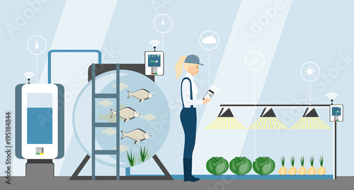 Growing plants in the greenhouse. Smart farm with wireless control. Eco farm with aquaponics system of planting vegetables. Vector illustration.