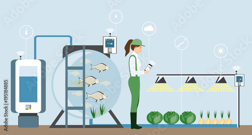 Growing plants in the greenhouse. Smart farm with wireless control. Eco farm with aquaponics system of planting vegetables. Vector illustration. photo