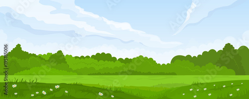 Rural summer landscape