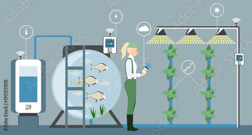 Growing plants in the greenhouse. Smart farm with wireless control. Eco farm with aquaponics system of planting vegetables. Vector illustration.