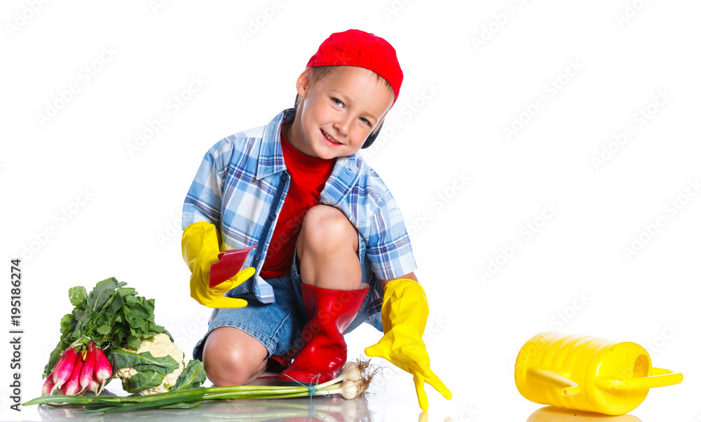 Cute little boy with scoop, fresh organic vegetables and watering can Cute little boy with scoop, fresh organic vegetables and watering can