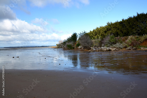 Katikati coast line photo