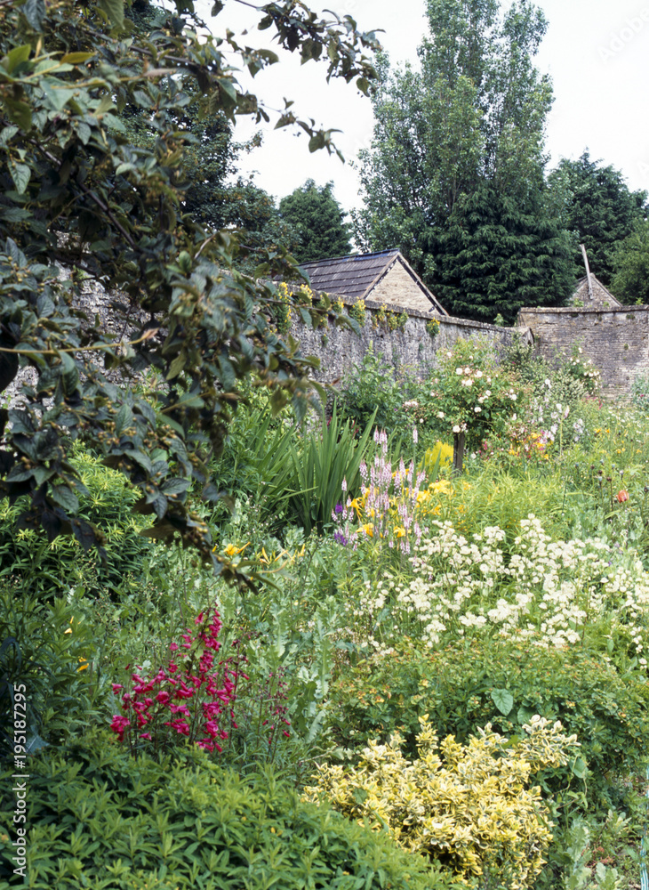 Colourful summer garden flower borders in a walled garden Colourful summer garden flower borders in a walled garden