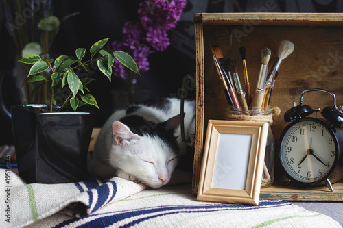 Creative mock up of card in Shabby chic style with sleeping cat. Painting concept. Stylish artist's table with brushes, wooden box, blank, clock, plant, frame, lilac branch.