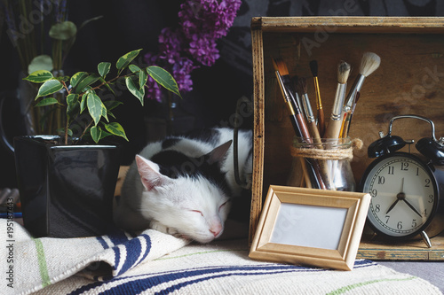 Creative mock up of card in Shabby chic style with sleeping cat. Painting concept. Stylish artist's table with brushes, wooden box, blank, clock, plant, frame, lilac branch.
