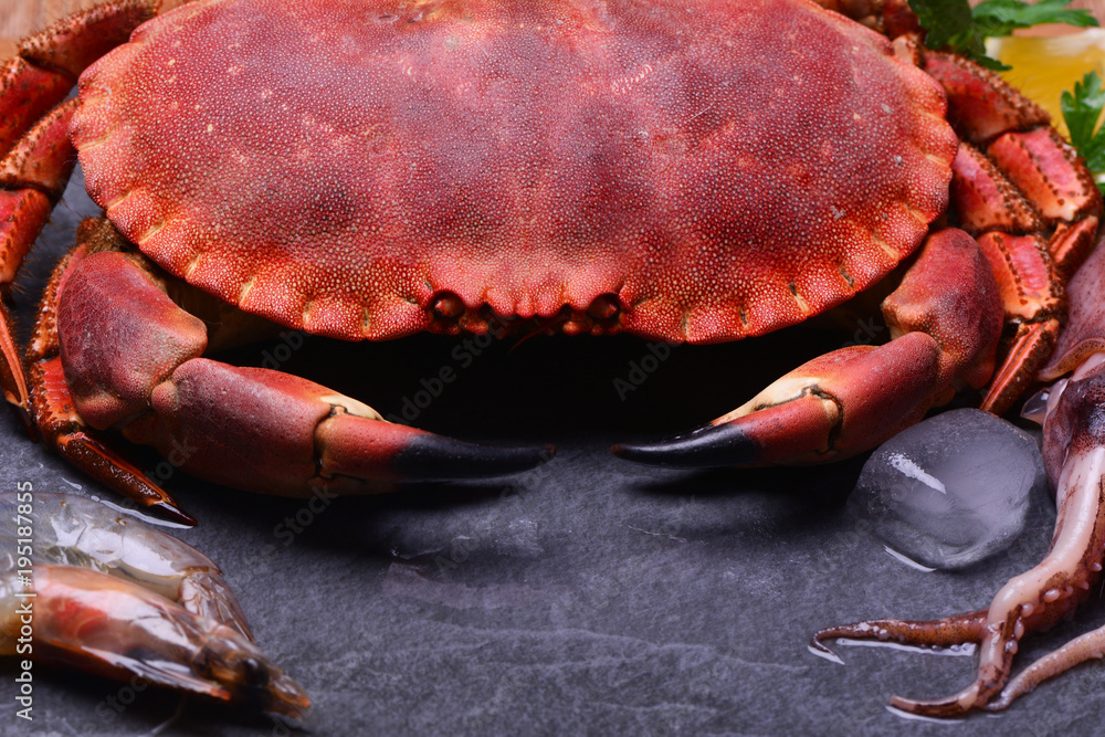 The freshest seafood for every taste The freshest seafood for every taste