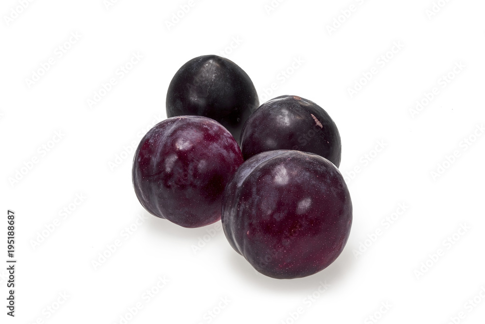 Plum Fruit Plum Fruit
