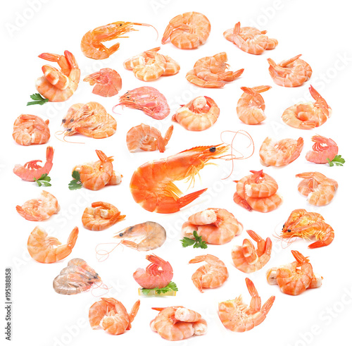 Fototapeta Naklejka Na Ścianę i Meble -  Shrimps collection