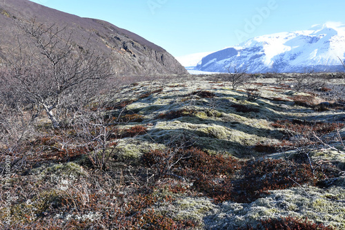 Iceland skaftafell Vatnajokull アイスランド ヴァトナヨークトル スカフタフェトル氷河 photo