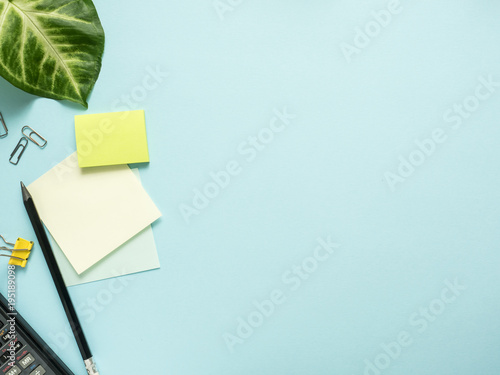 Business flat lay with copy space, calculator, pencil, Notepad on colorful yellow background Plants green leaves