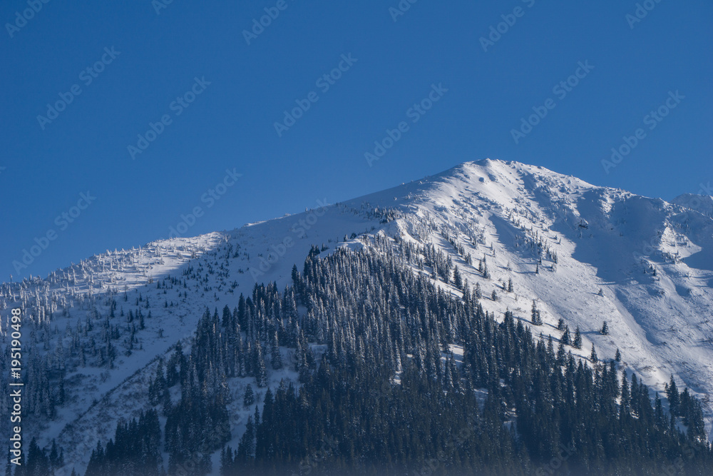 Snow covered alpine peak with forested slopes