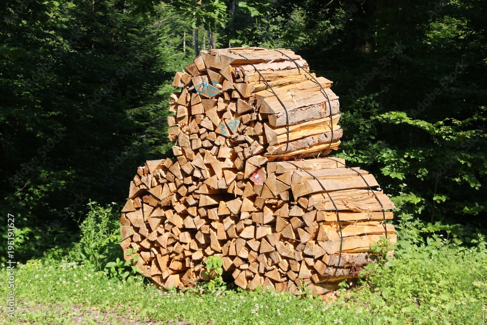 Fagot De Bois 6 Lettresnull