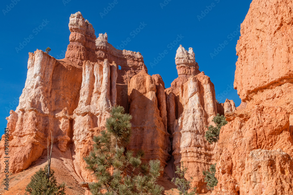 Scenic Bryce Canyon Utah Landscape