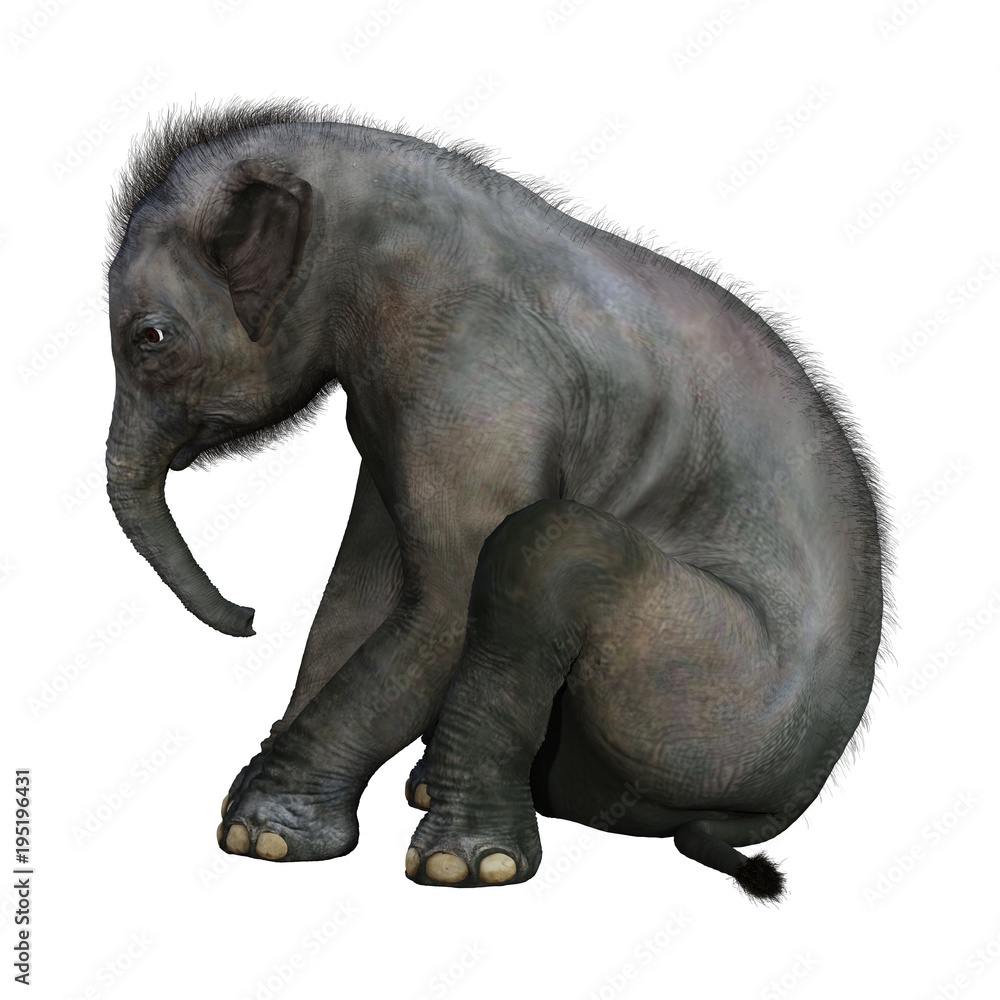 Fototapeta premium 3D Rendering Indian Elephant Baby on White