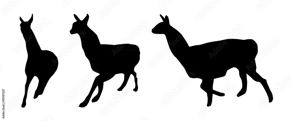 Set of lama silhouettes