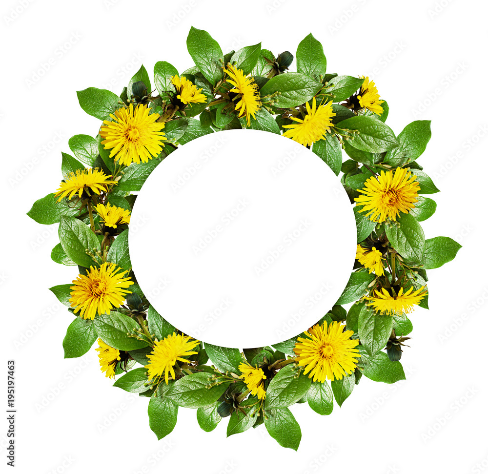 Obraz premium Spring round frame with green leaves and dandelion flowers