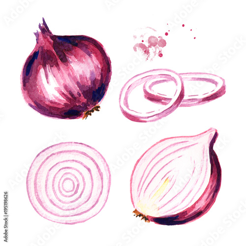 Onion set. Watercolor hand drawn illustration, isolated on white background