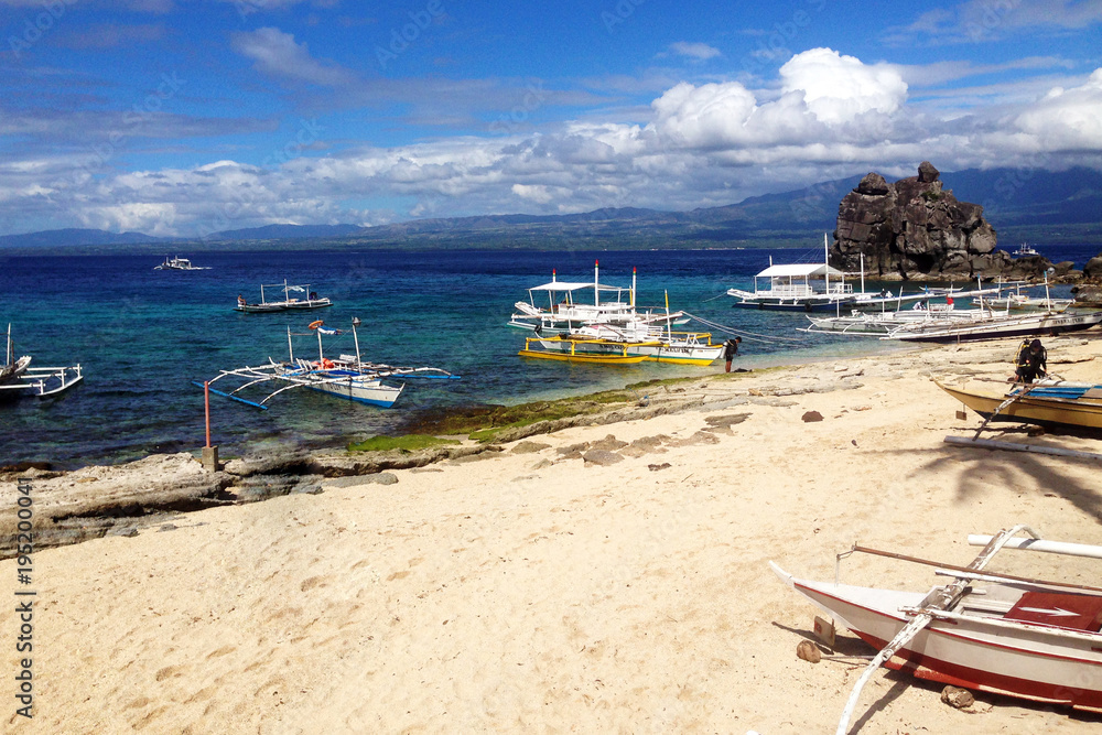 Apo Island, Cebu, Negros Oriental, Philippines