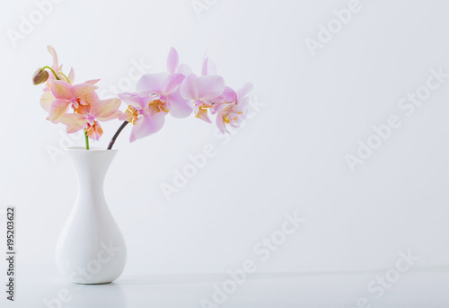Fototapeta Naklejka Na Ścianę i Meble -  beautiful orchids in white vase on white table