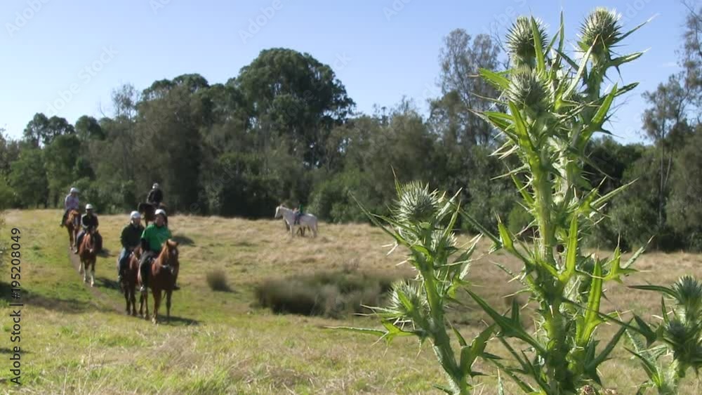 A steady wide shot of people riding their horses on a ranch. A steady wide shot of people riding their horses on a ranch.