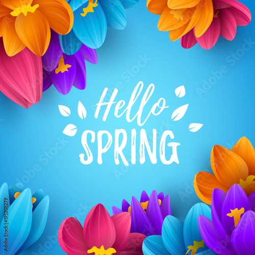 Colorful spring background with beautiful flowers. Vector illustration.