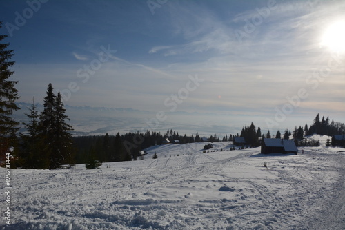 Wallpaper Mural Mountain Gorce in winter Torontodigital.ca