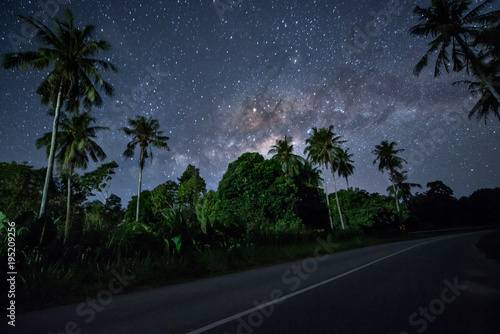 Milky way rise above coconut trees. soft focus and noise due to long expose and high iso.