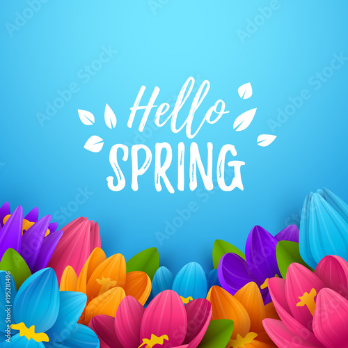 Colorful spring background with beautiful flowers. Vector illustration.