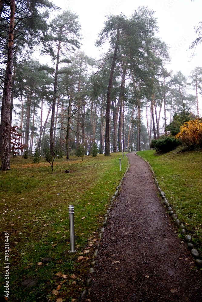 Beautiful path in the park with lanterns between the pines Beautiful path in the park with lanterns between the pines