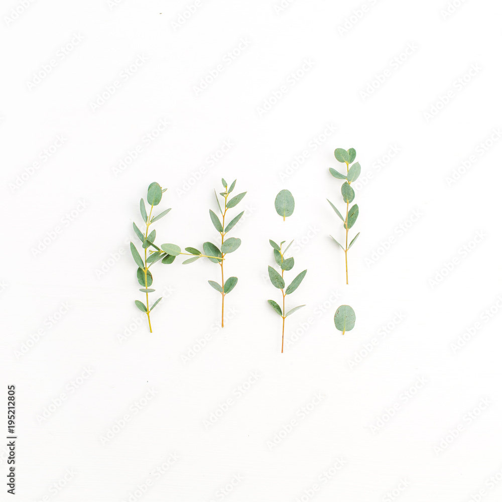 Word Hi made of eucalyptus branch on white background. Flat lay, top view. Word Hi made of eucalyptus branch on white background. Flat lay, top view.
