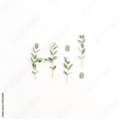 Word Hi made of eucalyptus branch on white background. Flat lay, top view.