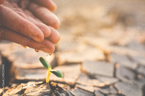 Human hand watering little green plant on crack dry ground, concept drought and save the world