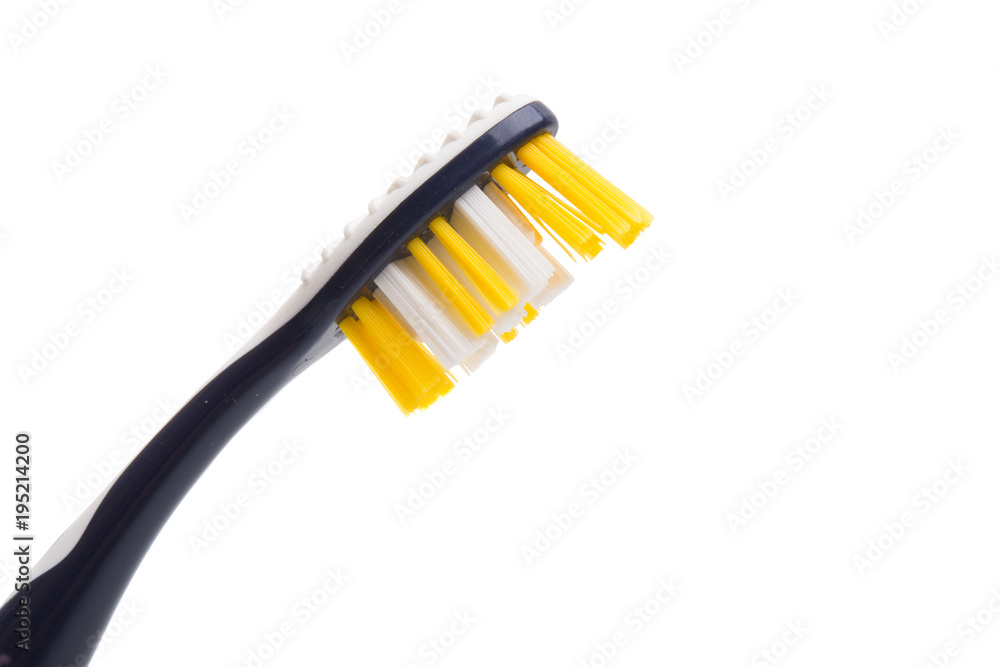 toothbrushes isolated toothbrushes isolated