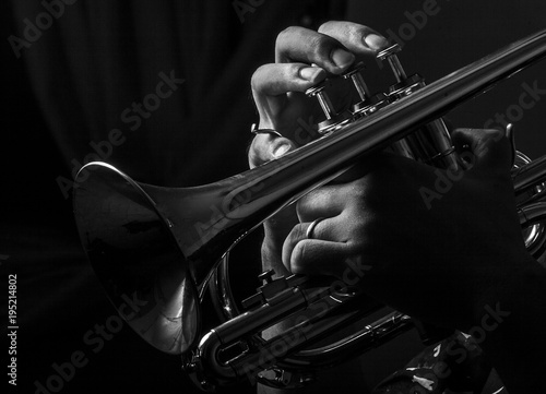 Classic musical cornet of black and white.	