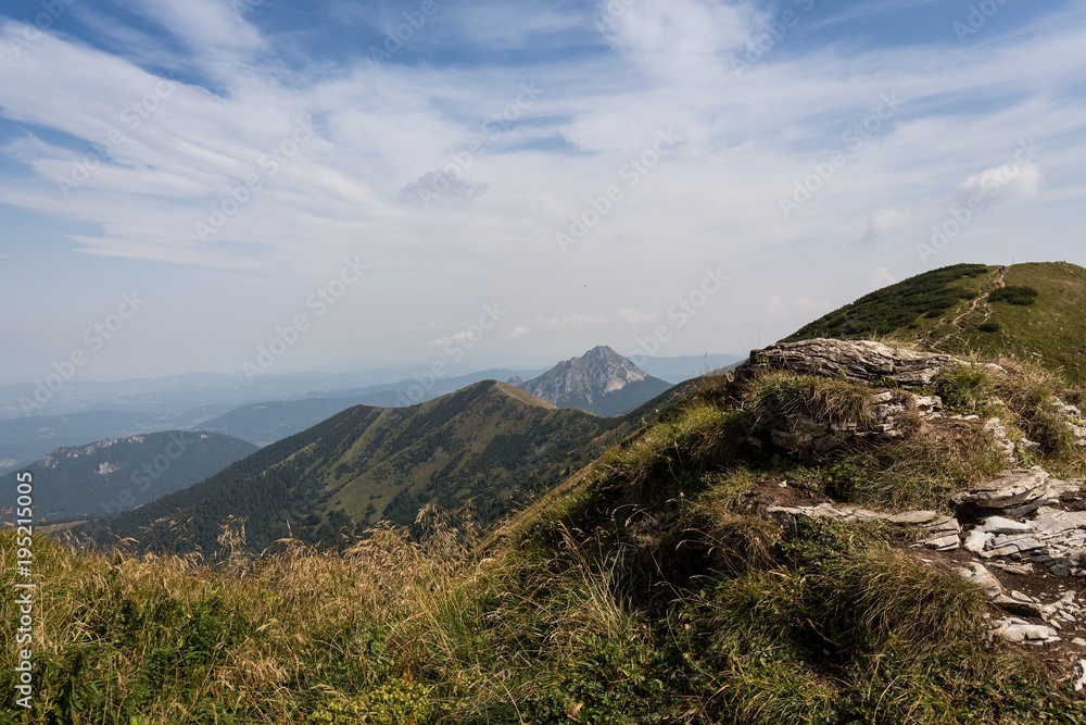 romantic mountain landscape in summer