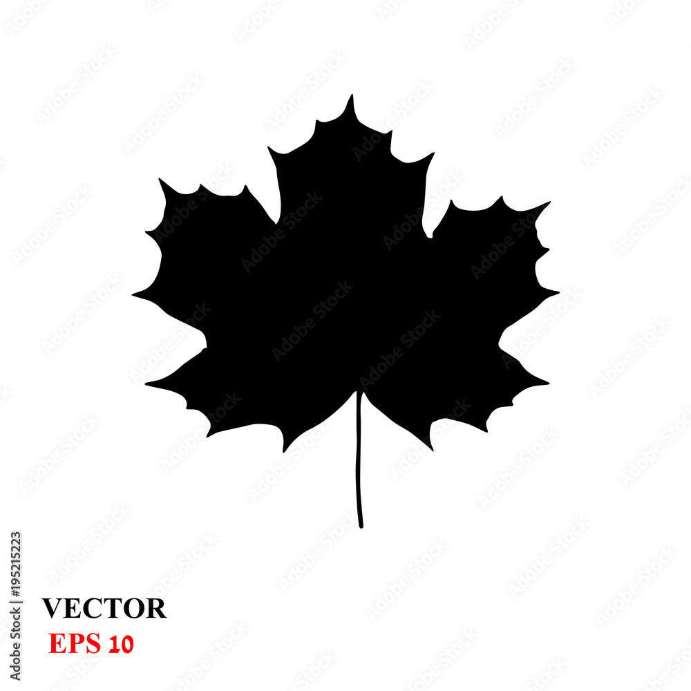 maple leaf. vector icon maple leaf. vector icon