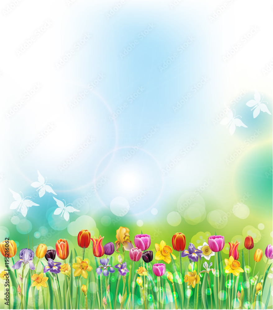 Background with multicolor spring flowers