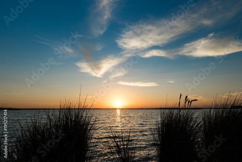 Into the Horizon