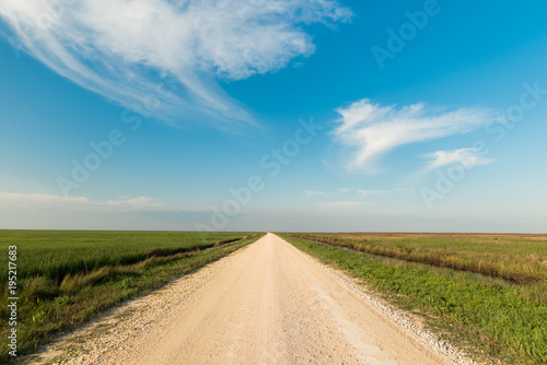 Εκτύπωση καμβά Blue Skies and a Rural Country Road