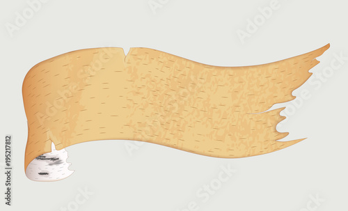 vector illustration of realistic birch bark in the shape of a ribbon with a twisted edge. isolated on white background