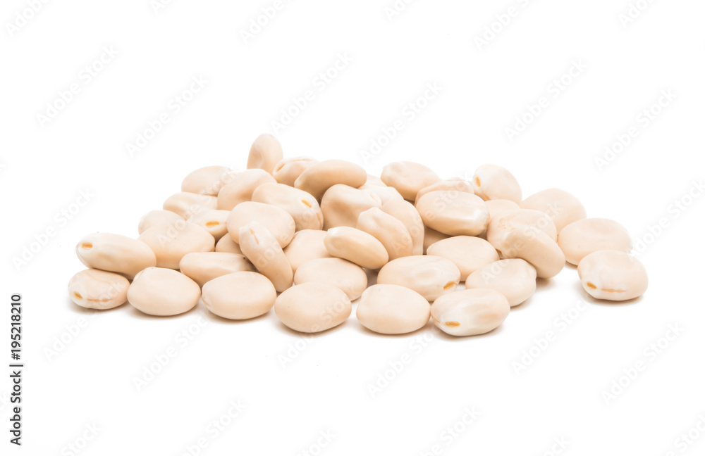 beans lupine isolated beans lupine isolated