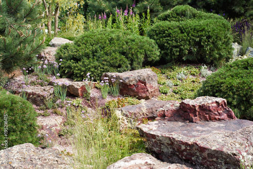 Canvastavla Rockery with conifers and granite
