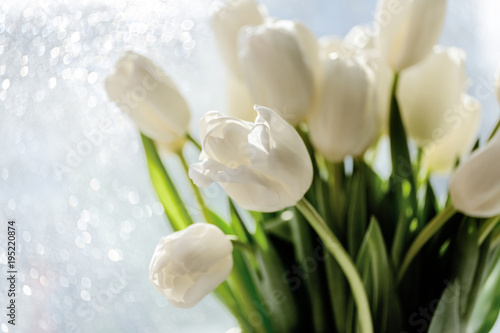 Spring bouquet of white tulips with green leaves over bokeh background. Selective focus.