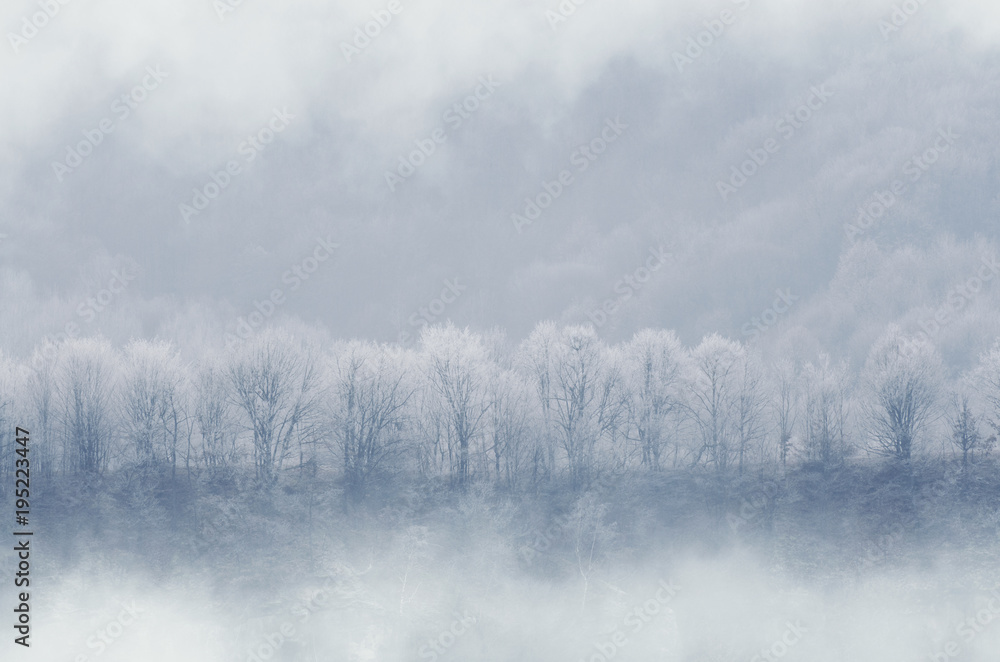 Winter landscape with fog on cold morning Winter landscape with fog on cold morning