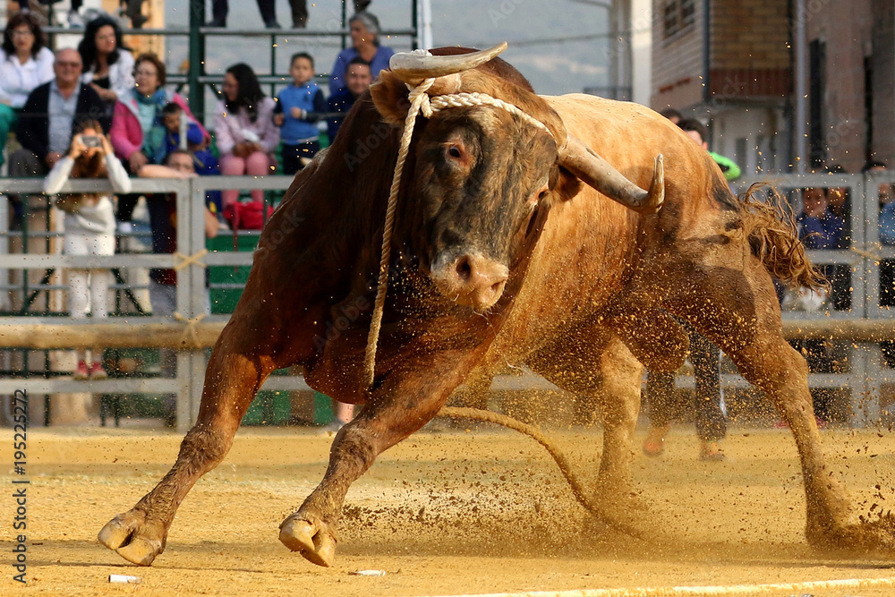 Naklejka premium toros en españa